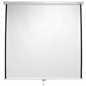 Nuovo HD schermo 200x200 cm TELO PER VIDEO PROIETTORE VIDEOPROIETTORE FULLHD