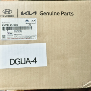 valvola termostatica hyundai tucson 256902U000  25690-2U000  1.6 CRDI